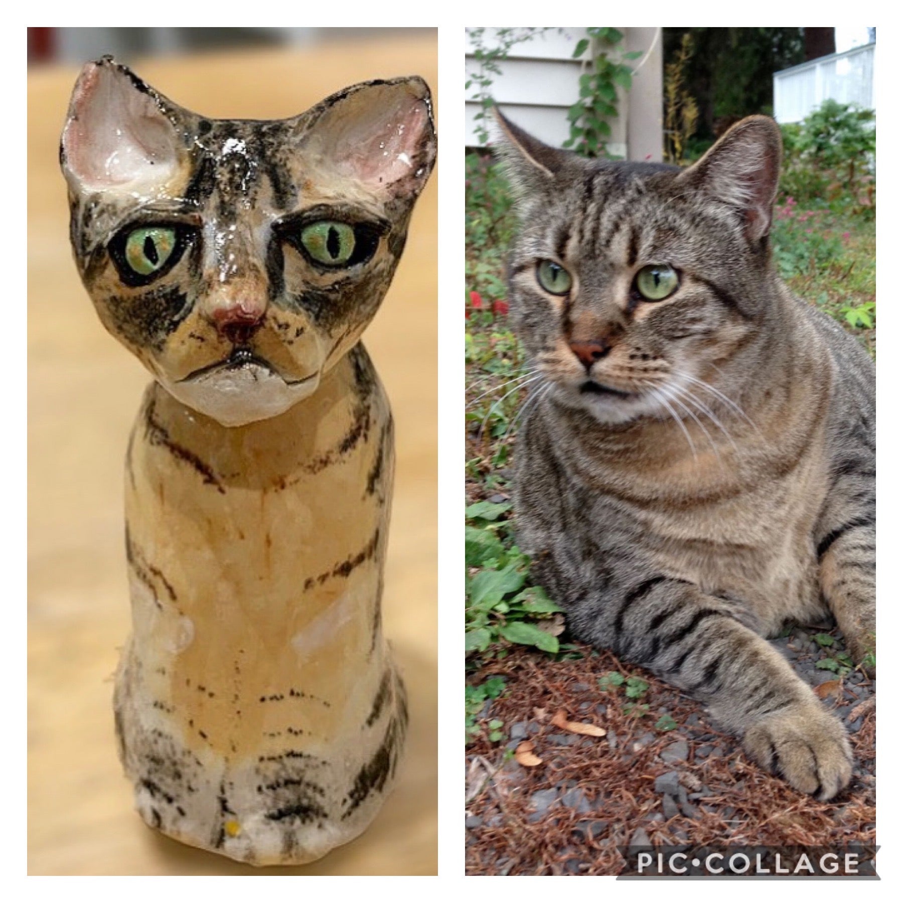 Custom Pets