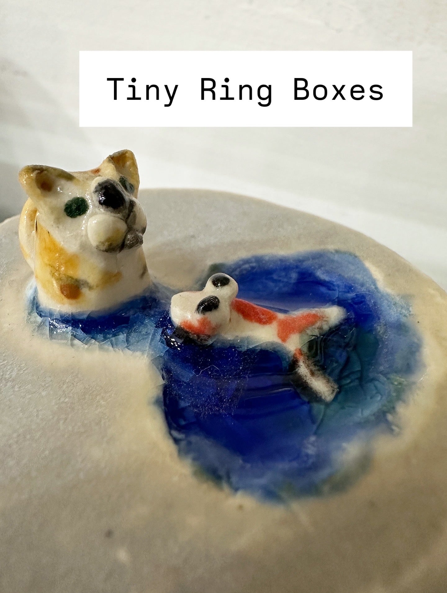 Felix and Bubbles ring box
